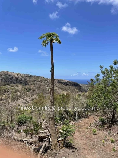 For Sale: Exceptional Land in Rodrigues – 6 Arpents