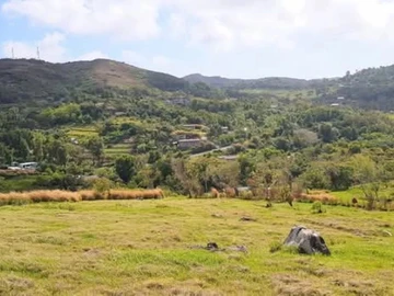 Terrain