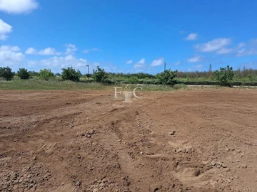 Terrain