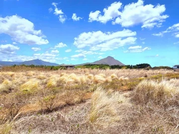 Terrain