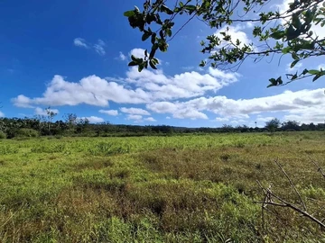 Terrain