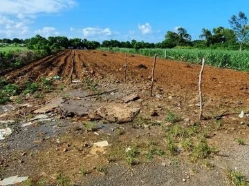 Terrain