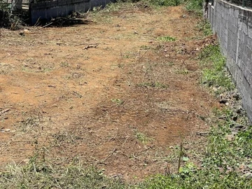 Terrain