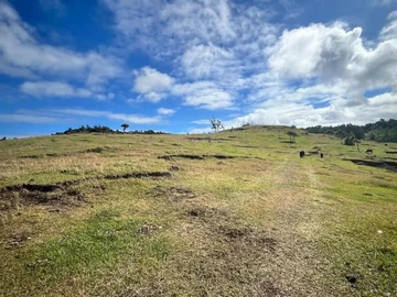Terrain Commercial