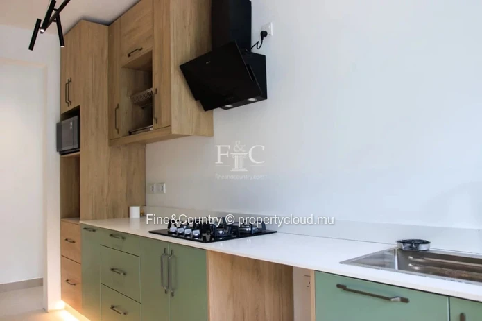 Townhouse Moderne à Vendre