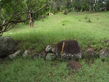 Terrain