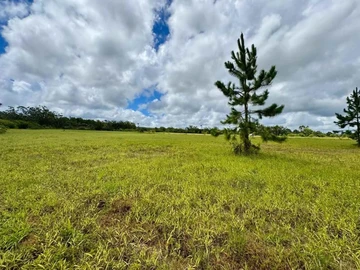Terrain
