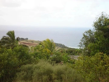 Terrain