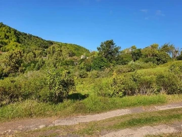 Terrain