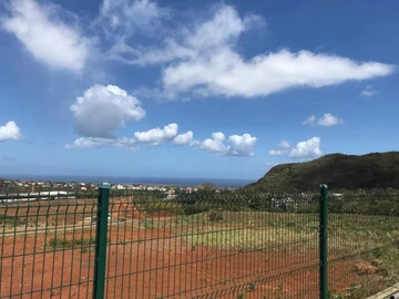 Terrain