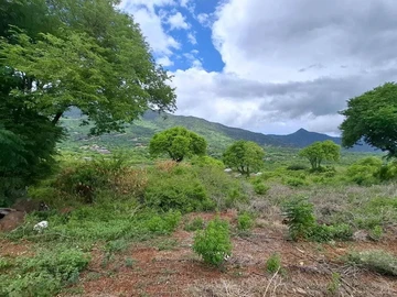 Terrain