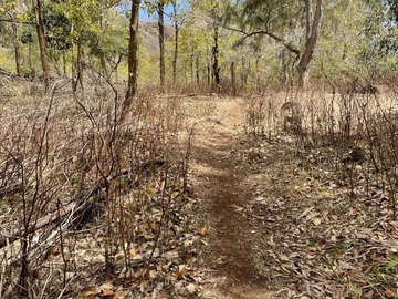 Terrain