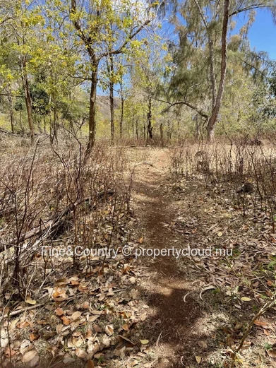 For Sale: Exceptional Land in Rodrigues – 6 Arpents