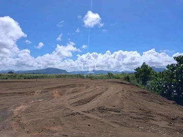 Terrain