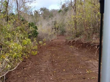 Terrain